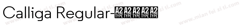 Calliga Regular字体转换
